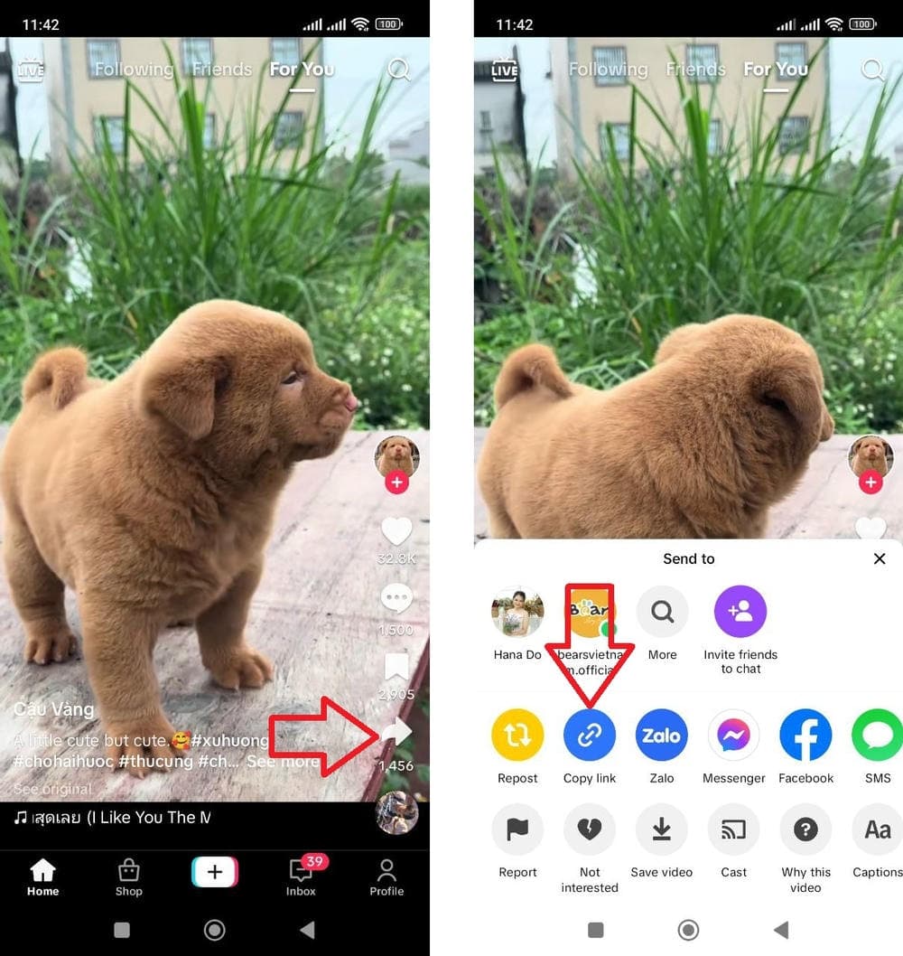 Guia para copiar link do TikTok no iPhone e Android